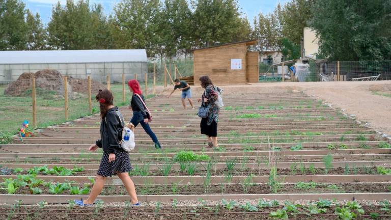 Diversos joves, en un hort social de les Terres de l’Ebre. Foto: Joan Revillas