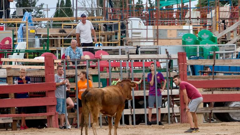 Una tarda de bous a la plaça de l’Aldea. foto: Joan Revillas