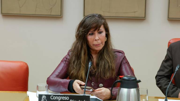 La exdirigente del PP catalán y actual diputada en la Asamblea de Madrid Alicia Sánchez-Camacho. Foto: EFE