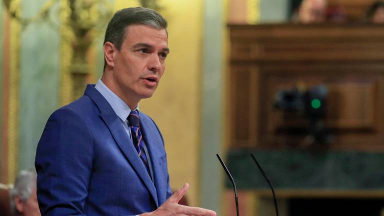 Sánchez ha hecho este anuncio en su comparecencia ante el pleno del Congreso. Foto: EFE