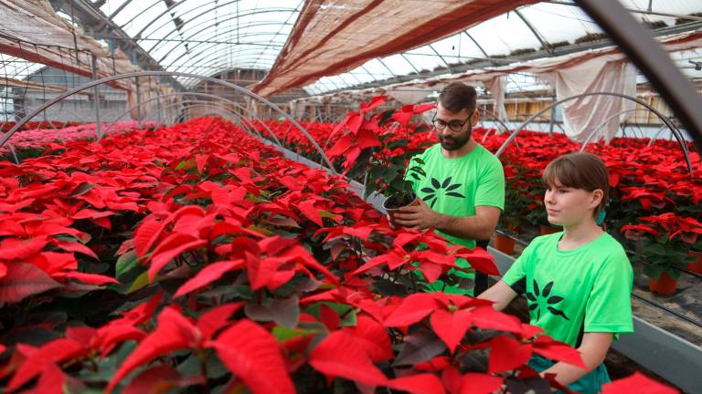 Dos estudiantes trabajando con las plantas en los invernaderos del centro. Foto: Alba Mariné