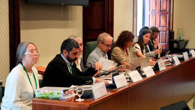 Ester Sara Cabanes, exdirectora general de Atención a la Infancia; Chakir el Homrani, exconseller de Asuntos Sociales; Oriol Amorós, exsecretario general de Asuntos Sociales; y Josep Ginesta, exsecretario general de Asuntos Sociales, durante la comparecencia sobre la DGAIA. Foto: ACN