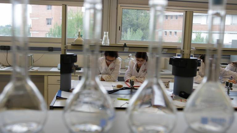 Un laboratorio de la URV donde se forman los futuros ingenieros vinculadosa la industria química. Foto: pere ferré