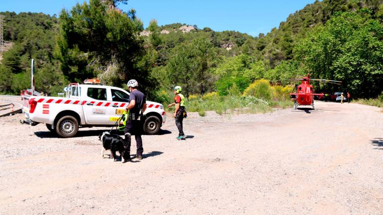 Imagen de los servicios de emergencia trabajando en el lugar del accidente. Foto: ACN