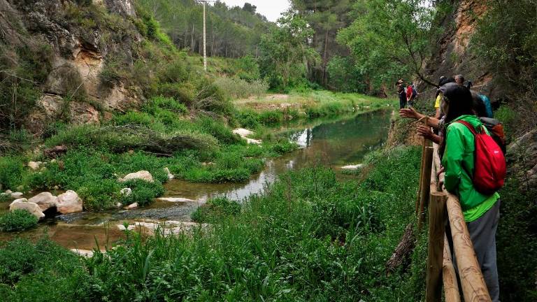 L’audiovisual té per objectiu conscienciar a la ciutadania i a l’administració. Foto: Associació Terres del Gaià