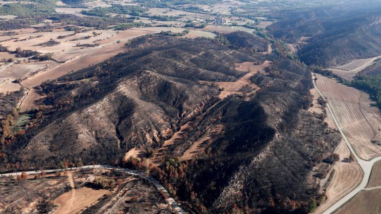 Vista aèrea de la superfície cremada a l’incendi de Santa Coloma de Queralt. FOTO: GEMMA ALEMAN/ACN