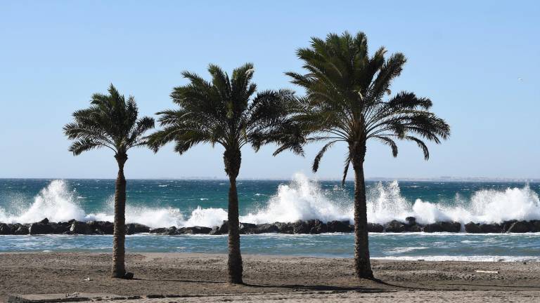 Se pide a la población extremar las precauciones en la conducción y en todas las actividades que se hagan al aire libre. Foto: EFE