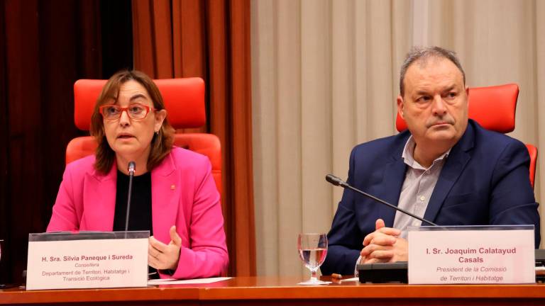 La consellera Sílvia Paneque, durante la intervención en la Comissió de Territori. foto: Parlament de Catalunya