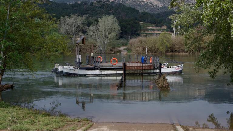 Estat actual del pas de barca de Garcia, a la Ribera d’Ebre. Foto: Joan Revillas