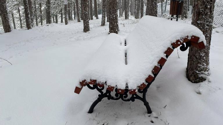 La nieve puede llegar a algunas zonas de la provincia de Tarragona. Foto: EFE