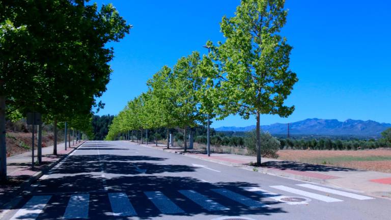 Més de 100.000 metres quadrats de sòl industrial, la pràctica totalitat del polígon, continuen encara en venda. Foto: ACN