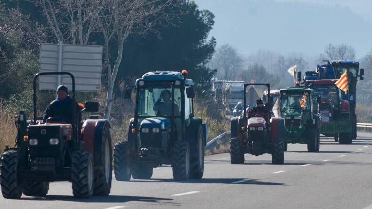 La tractorada pasando por la carretera C-12 entre García y Móra la Nova, dentro del término municipal de Móra. Foto: Joan Revillas