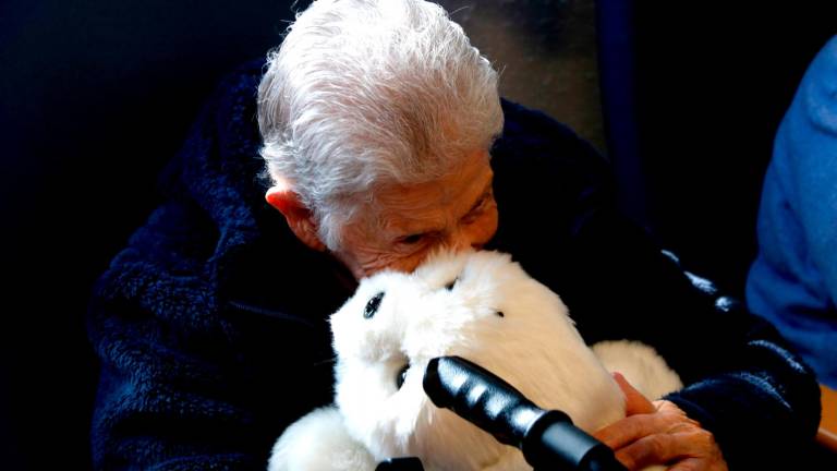 Imagen de Nuka, el robot con apariencia de cachorro de foca en la residencia Llar Conca de Barberà, en Montblanc. Foto: ACN