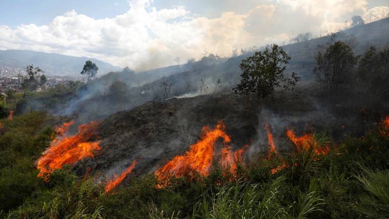 Incendio forestal. Foto: EFE