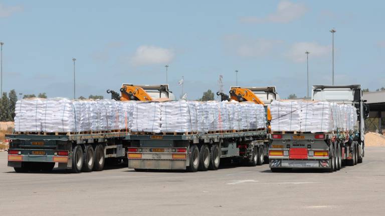 Camiones de ayuda humanitaria camino de Gaza. Foto: EFE