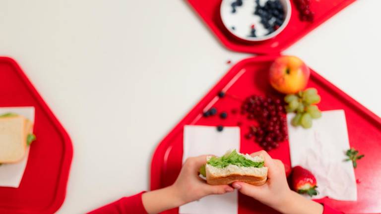 El menjador escolar ha de complir les mesures amb menús especials per als alumnes amb al·lèrgies. Foto: Getty Images