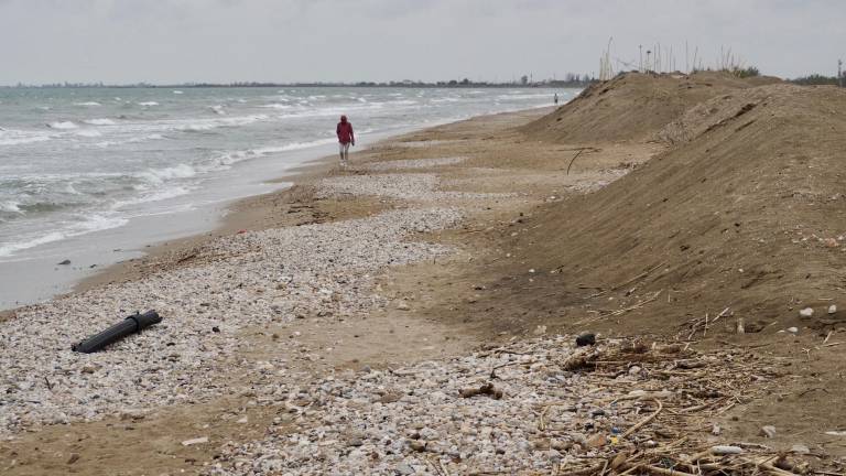 Roig defiende la necesidad de mantener o crear sistemas dunares para proteger el litoral en las playas que sea posible. foto: joan revillas