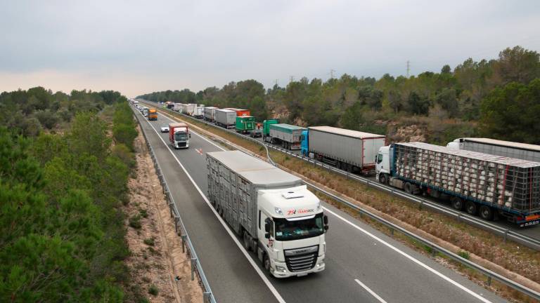 Camiones bloqueados en el accidente del viernes en la AP-7. Foto: ACN