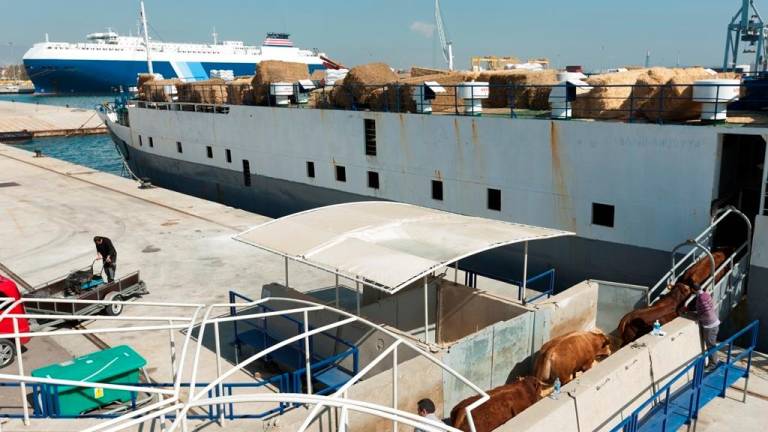 Port Tarragona, el quinto en tráfico marítimo del ranking estatal
