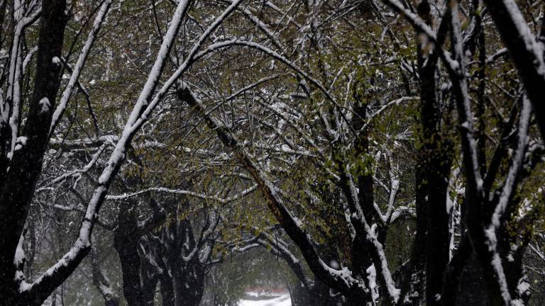 En algunos puntos de España se han registrado hasta 10 grados bajo cero esta madrugada. Foto: EFE