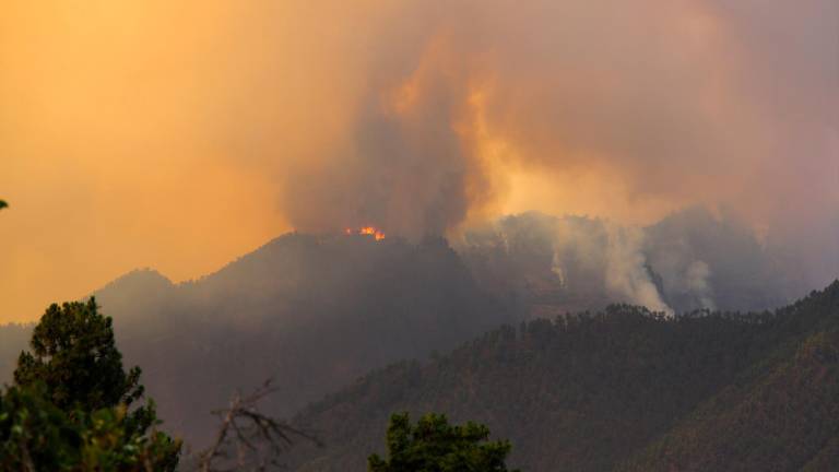 El incendio se originó hacia la 01.00 horas en la zona de El Pinar, en el municipio de Puntagorda. Foto: EFE