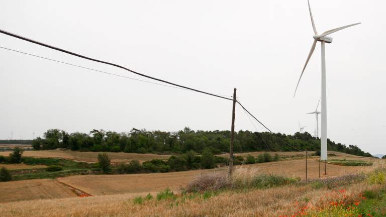 Sembrado donde se ubicará la central fotovoltaica Bcn 2, a los pies del parque eólico Les Forques, en Belltall. Foto: ACN