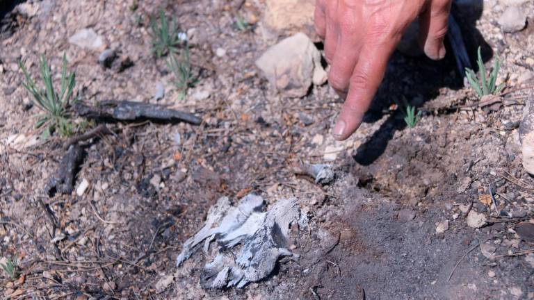 $!Restes d’ossos humans sobre la superfície afectada per l’incendi. Foto: ACN
