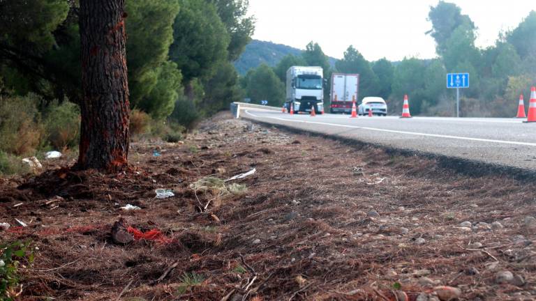 La zona en la que el vehículo se salió de la calzada y chocó contra un árbol. Foto: ACN