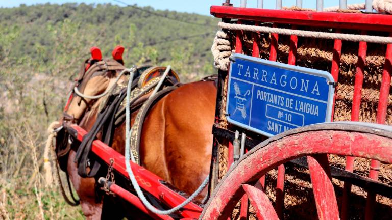 Han recollit els més de dos mil litres d’aquesta aigua “miraculosa. Foto: ACN