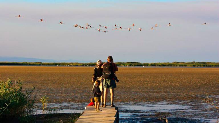 $!Observación de aves PN Delta del Ebro