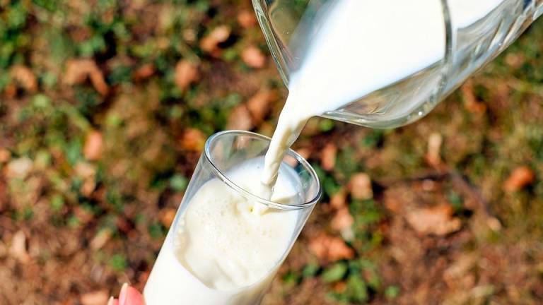 Un alimento básico como la leche ha desbocado su precio en un año. Foto: Pixabay