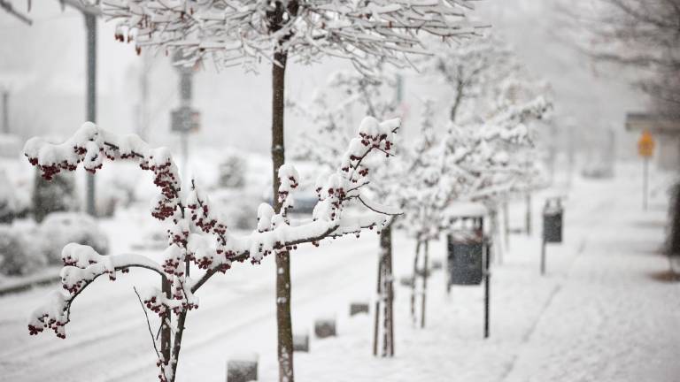 Calle nevada en Cracovia (Polonia). Foto: EFE/ Lukasz Gagulski