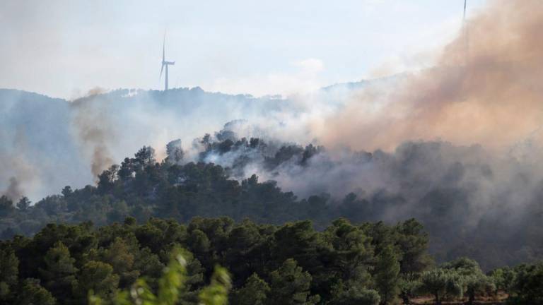 L’incendi d’Ascó. Foto: Joan Revillas
