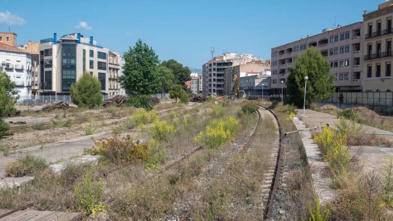 Recta final dels treballs per retirar les vies dels antics terrenys d’Adif a Tortosa