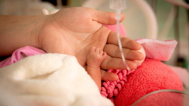 A Catalunya cada any naixen entre un 7 i un 10% de nens i nenes prematurs, és a dir, abans de les 37 setmanes de gestació. Foto: Getty Images