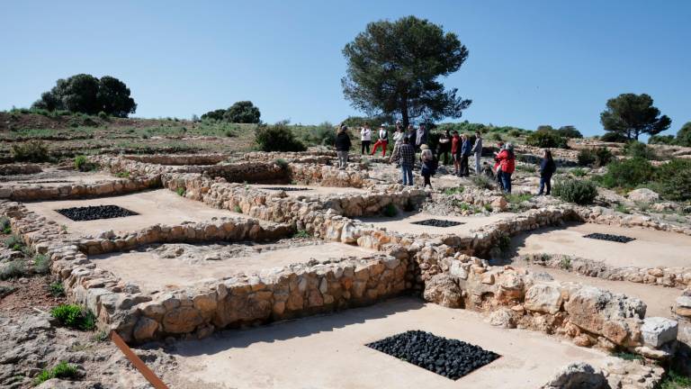 Una veintena de visitantes recorrieron ayer los restos del poblado protohistórico en Salou. Foto: Alba Mariné