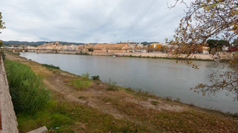 El río Ebre a su paso por Tortosa. Foto: Joan Revillas/DT