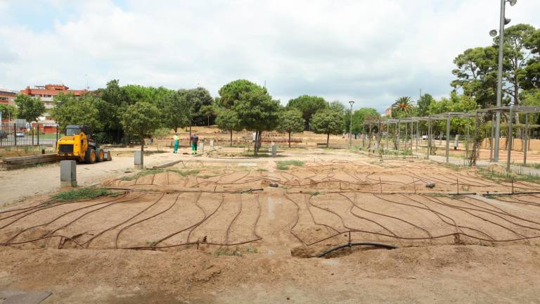 La zona del Roserar de Mas Iglesias, con las mangueras de riego instaladas, hace unos días. Foto: Alba Mariné