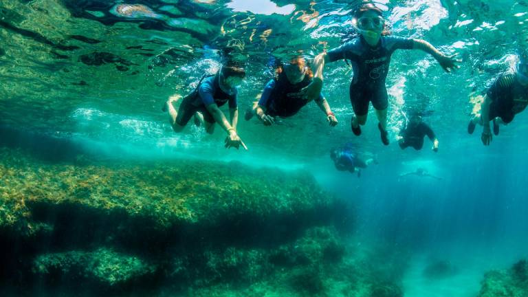$!Los visitantes también escogen practicar snorkel. Foto: Patronat de Turisme de la Diputació de Tarragona