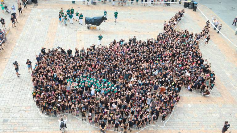 Los 1.200 alumnos y profesores han conformado la figura del Bou, rellenando su silueta. foto: alba mariné