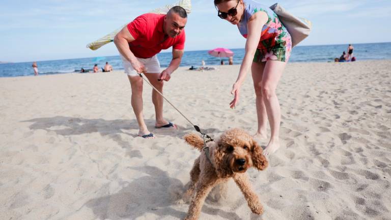 La zona de convivencia con perros que Salou ha delimitado cerca de la plaza Venus. Foto: Alba Mariné