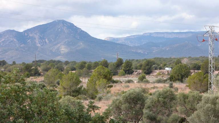 Los terrenos de Els Comellarets se encuentran entre la AP-7 y la carretera T-323. FOTO: DT