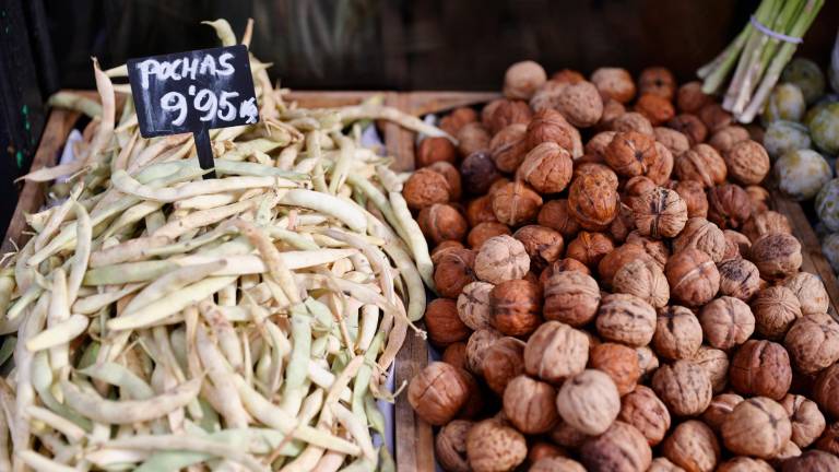 Alimentos en una frutería. Foto: EFE