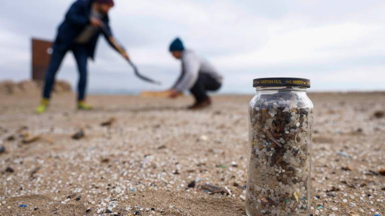 La playa de La Pineda es de las más afectadas por la contaminación de pélets en toda España. Foto: EFE