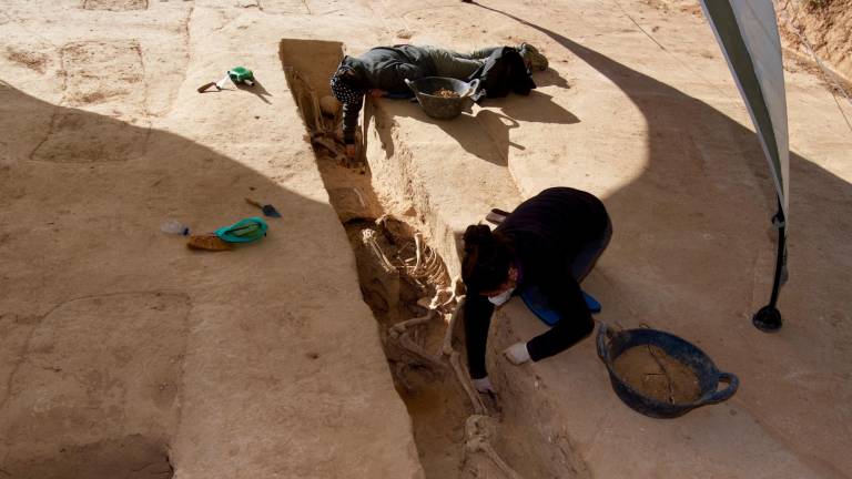 Soldats republicans exhumats al Mas de Santa Magdalena, a Móra d’Ebre. Foto: Joan Revillas