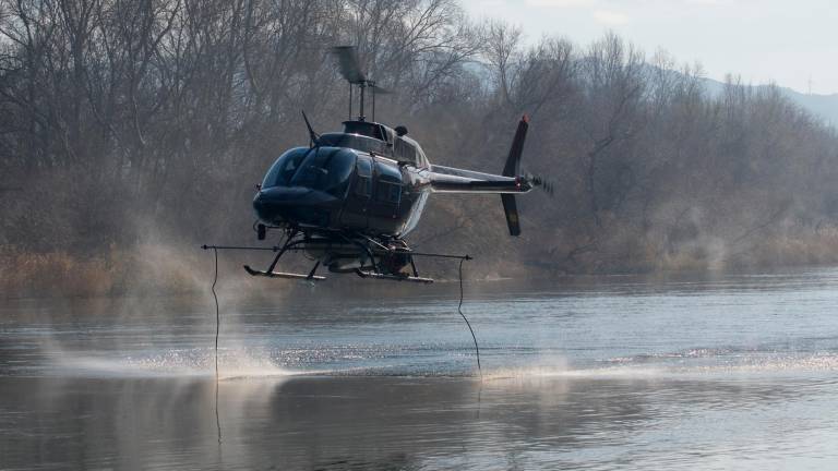 Helicòpter abocant el producte BTI al riu Ebre, aquest dimarts a Xerta. Foto: Joan Revillas