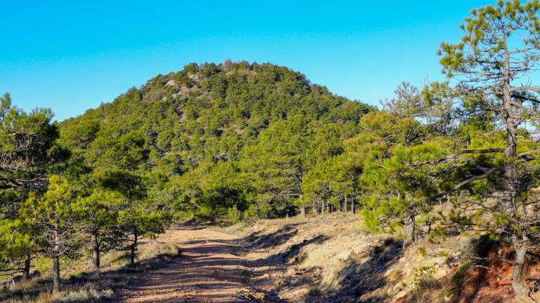 El Puig de Gallicant. FOTO: Santi Garcia