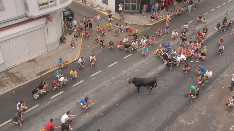 Un bou capllaçat pels carrers de l’Aldea. Foto: Joan Revillas