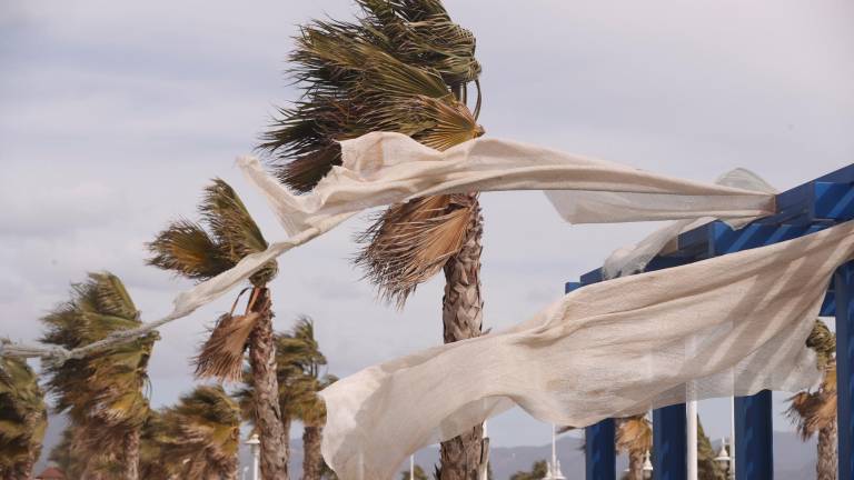 El viento ha puesto en alerta varias comarcas de Catalunya. Foto: EFE