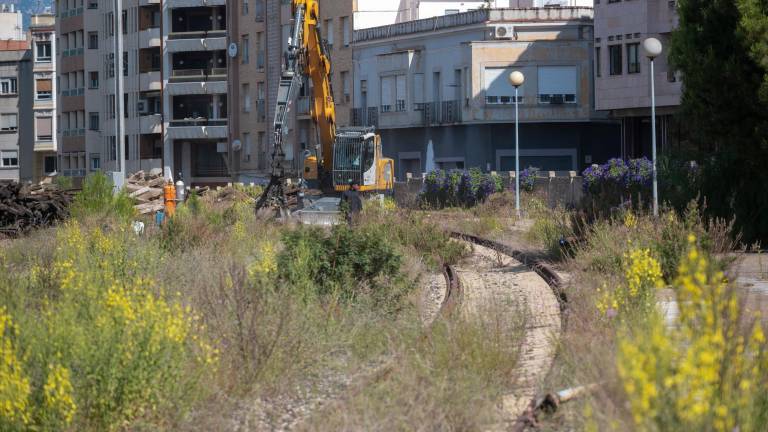 Una màquina retirant les vies i netejant els terrenys de Renfe, aquesta setmana. foto: Joan REvillas